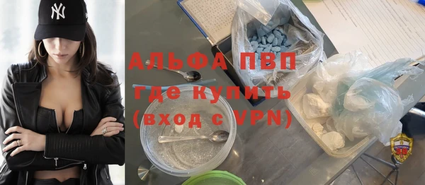 ГАЛЛЮЦИНОГЕННЫЕ ГРИБЫ Заволжье