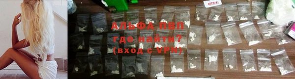 ГАЛЛЮЦИНОГЕННЫЕ ГРИБЫ Заволжье
