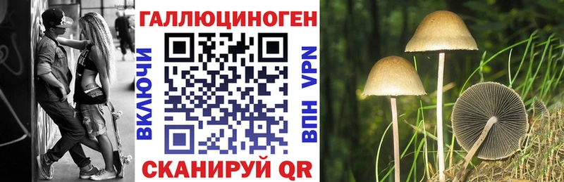 где продают   kraken онион  Галлюциногенные грибы Cubensis  Альметьевск 